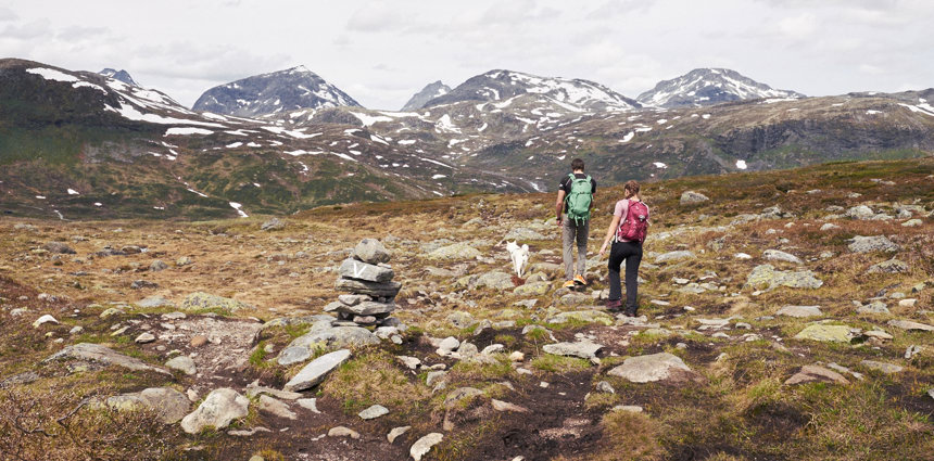 2019.06 Jotunheimen Utsikten 177