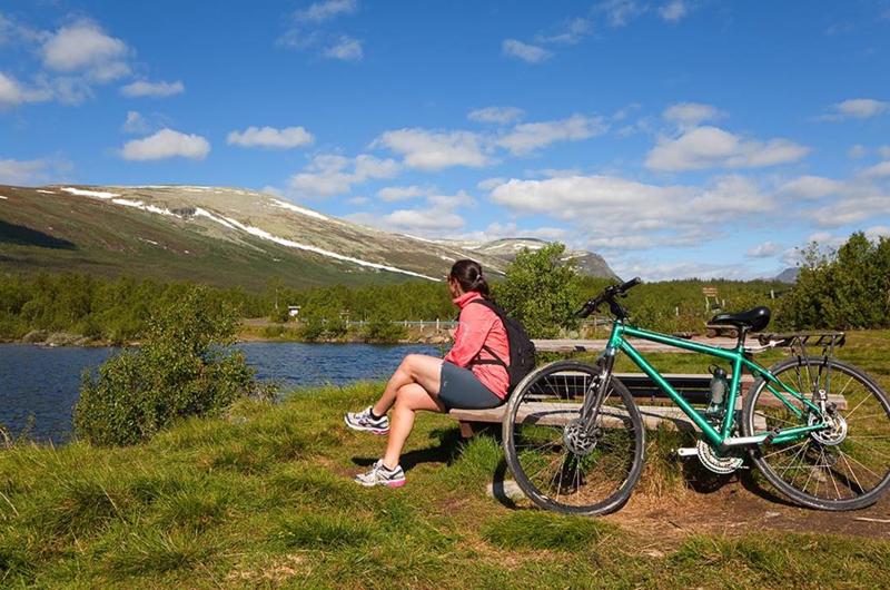 Grønsennknippa Circuit Cycling Route