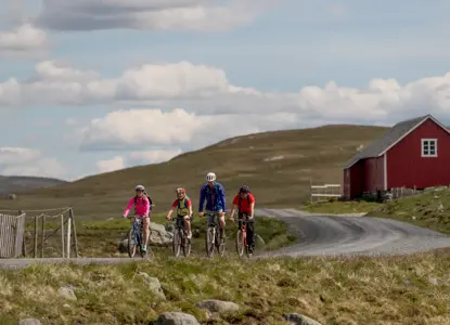 Ruten Bygdin Jotunheimvegen Yngve Ask Mjølkevegen 9