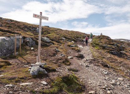 2019.06 Jotunheimen Utsikten 058