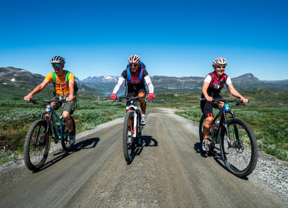 Biking Mjolkevegen