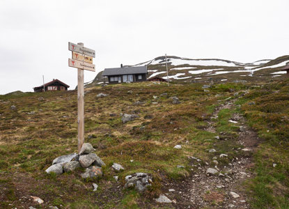 2019.06 Jotunheimen Torshammeren 155 1