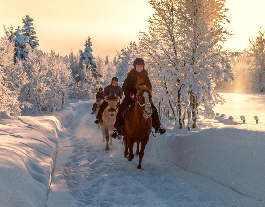 Winter Riding Activities Winter Horseback Riding - Jotunheimen
