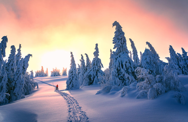 Valdres Winter