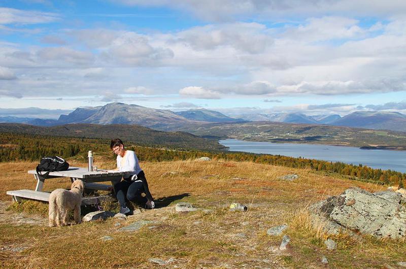 Vesle Golsfjellrunden And Lauvsjøen Circuit