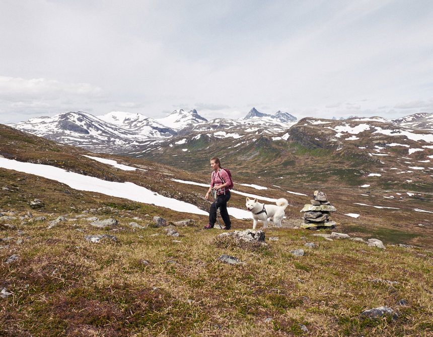 2019.06 Jotunheimen Utsikten 092