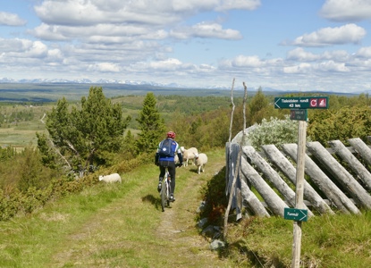 Tur 1 Spekebakk Tisleifjorden Rundt