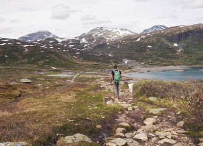 2019.06 Jotunheimen Utsikten 180